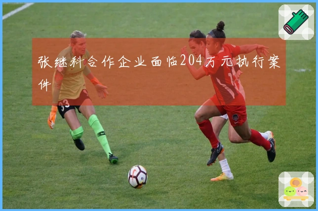 张继科合作企业面临204万元执行案件